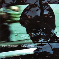 Summer - Brett Anderson