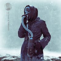 The Speaker is Systematically Blown - Author & Punisher