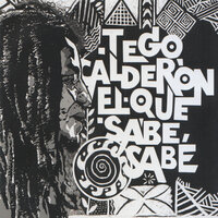 Paz (Interlude) - Tego Calderón