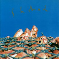 Outta Phase - Shihad