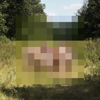 Settle The Scar - The Hotelier