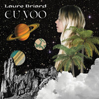 Pássaros - Laure Briard