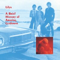 Dandy - Lilys