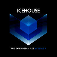 Miss Divine - Icehouse
