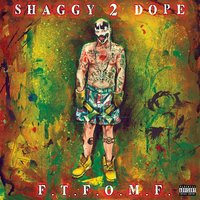 Don't Ask Me - Shaggy 2 Dope