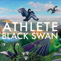 Animation - Athlete