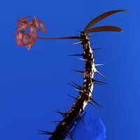 Hyperreal - Flume, Kučka