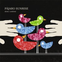 Drunk - Pajaro Sunrise