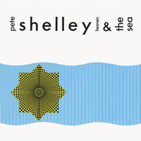 Never Again - Pete Shelley