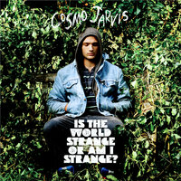 The Talking Song - Cosmo Jarvis