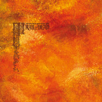 Monsoon - ...And You Will Know Us By The Trail Of Dead
