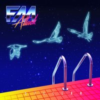 Images of You - FM Attack