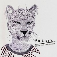 Fireworks - Polock