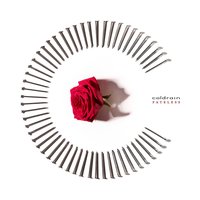 STAY - coldrain