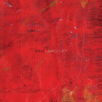 Dark Inclusions - Nadja