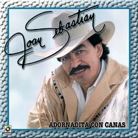 Pedacitos De Alma - Joan Sebastian