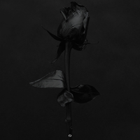 Love - J.Robb, IshDARR