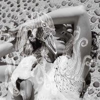Cocoon - Björk