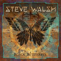 Nothing but Nothing - Steve Walsh
