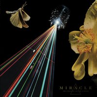 Sulfur - Miracle