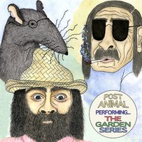 Violet - Post Animal