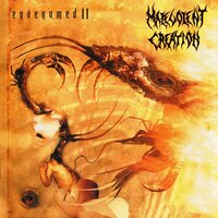 Perish in Flames - Malevolent Creation