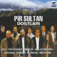 Dostum Dostum - Arzu