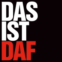 Verlier nicht den Kopf - Daf