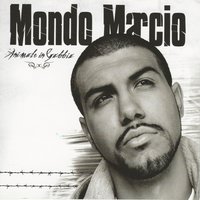 Tutto torna - Mondo Marcio