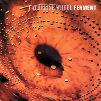Indigo Is Blue - Catherine Wheel