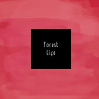 Floorboards - McCafferty