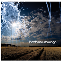 Wish You Were Here - Kosheen