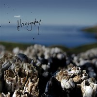 Krokstav-emne - Moddi