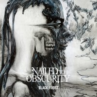 Resonance - Nailed To Obscurity