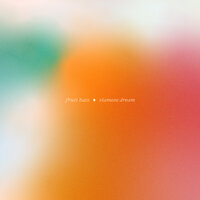 Rocket - Fruit Bats