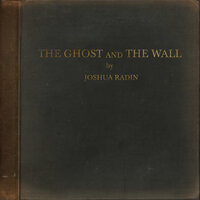 Better Life - Joshua Radin