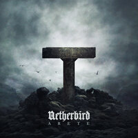 Towers of the Night - Netherbird