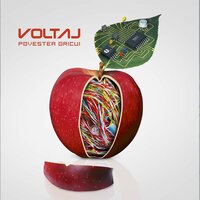 Povestea Oricui - Voltaj