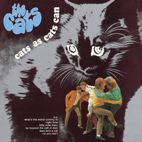 How Could I Be So Blind - The Cats