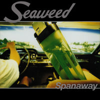 Magic Mountainman - Seaweed