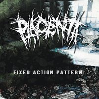 Simon Says - Placenta