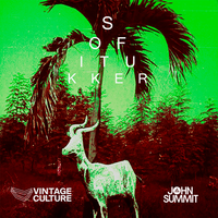Drinkee - Sofi Tukker, Vintage Culture, John Summit