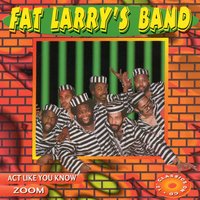 Zoom - Fat Larry's Band