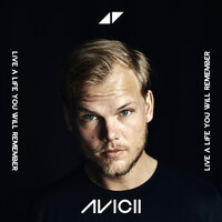 Wake Me Up - Avicii