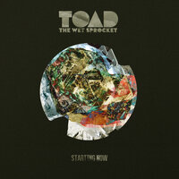 Dual Citizen - Toad The Wet Sprocket