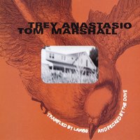 Driver - Trey Anastasio, Tom Marshall