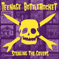 Why the Big Pause - Teenage Bottlerocket