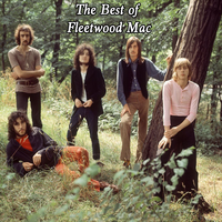 Shake Your Moneymaker - Fleetwood Mac