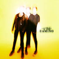 Roses - The Band CAMINO