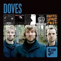 The Cedar Room - Doves